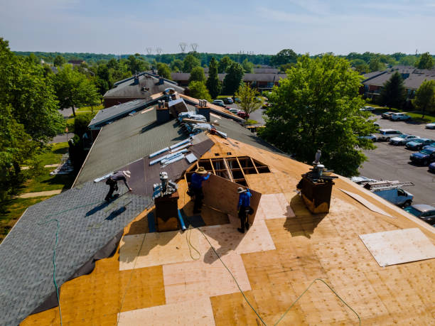 Roof Gutter Cleaning in Silver Spring, MD