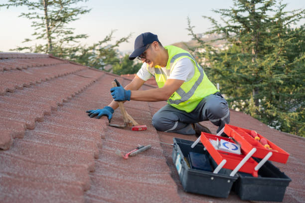 Best Emergency Roof Repair  in Silver Spring, MD
